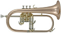 ROY BENSON FH-302G Bb Флюгельгорн (цвет золото)