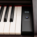 ROCKDALE Etude 64 Rosewood (RDP-5088) цифровое пианино, 88 клавиш, цвет розовое дерево (Палисандр)