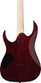 Ibanez GRGR221PA-AQB электрогитара, цвет голубой и чёрный