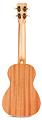 CORDOBA PROTEGE U1 Ukulele, укулеле концертная, корпус махагони, обработка матовая