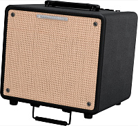 IBANEZ T80II TROUBADOUR ACOUSTIC COMBO комбо для акустической гитары, 80 ватт