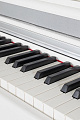 GEWA DP 345 White Matt фортепиано цифровое, цвет белый матовый