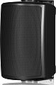 Tannoy AMS 5ICT BK  акустическая система 100 Вт, цвет черный