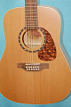 Norman PROTEGE B18-12 PRESYS Natural  12-струнная электроакустическая гитара Dreadnought