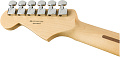 FENDER PLAYER Stratocaster MN 3TS Электрогитара, цвет санберст