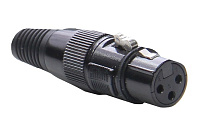 Invotone XLR3F300  разъём XLR мама 