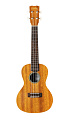 CORDOBA 20 CM укулеле концертная