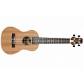 PEAVEY Ukulele Student Укулеле 
