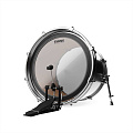 EVANS BD24EMADHW  Пластик 24"