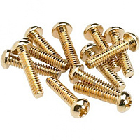 FENDER Pickup and Selector Switch Mounting Screws (12) (Gold) саморезы для крепления звукоснимателей и свитча, цвет золотистый