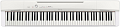CASIO Privia PX-160WE цифровое фортепиано, 88 клавиш, цвет белый