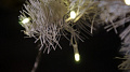 RICH LED RL-i3*0.5F-T/WW Светодиодная бахрома