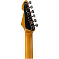 PEAVEY Raptor Custom MRG Электрогитара