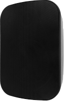 SVS Audiotechnik PAF-6B PRO Всепогодная настенная акустическая система, IP65, 6.5"+1, цвет черный
