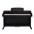 ROCKDALE Fantasia 128 Graded Black цифровое пианино, 88 клавиш, цвет черный