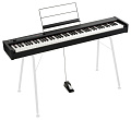 KORG D1 цифровое пианино, цвет черный