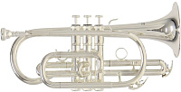 ROY BENSON CR-202S  корнет