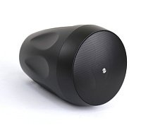 AuraSonics FLORET-6T подвесная акустическая система, цвет черный