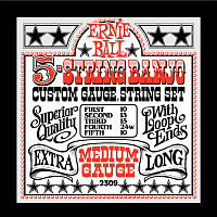 Ernie Ball 2309 струны для 5-струнного банджо Stainless Steel Medium (10-13-15-24w-10)
