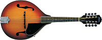 Washburn M1S  мандолина, цвет санберст