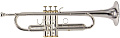 ROY BENSON Charli Green Signature Model Bb Труба
