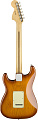 FENDER AMERICAN PERFORMER STRATOCASTER®, RW, HONEY BURST электрогитара, цвет янтарный санбёрст, в комплекте чехол