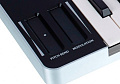SAMSON Graphite M25 Mini  USB MIDI-клавиатура, 25 чувствительных к скорости нажатия клавиш, 4 триггерных пэда, назначаемые энкодеры и кнопки. Совместимость с iPad/PC/Mac. Вес 0,65 кг