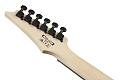 IBANEZ GRG120QASP-BGD электрогитара
