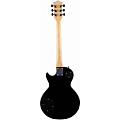 TERRIS TLP-039 BK электрогитара Les Paul, HH, 2V2T, цвет черный
