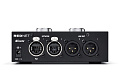 Focusrite Pro RedNet AM2 мониторный стерео модуль для аудио сети Dante