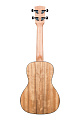 KALA KA-PWC Kala Pacific Walnut Concert Ukulele укулеле-концерт, цвет натуральный
