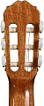TAKAMINE GC5CE NAT классическая электроакустическая гитара, топ из массива ели, цвет натуральный