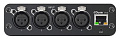 SHURE ANI4IN-XLR четырехканальный Dante™ аудиоинтерфейс, 4 входа XLR, Dante