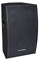 Phonic iSK15A Deluxe Акустическая система активная 