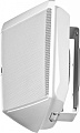 JBL Control HST-WH настенная акустическая система, цвет белый