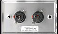 Atlas IED SG-QTRSL-F2  Настенная панель 2хJack 6.3 мм, с фиксатором