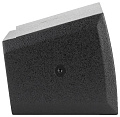 RCF M801 (13041004) Двухполосная АС, частотный диапазон 65 Гц - 20 кгц, номинальная мощность: 150 Вт AES