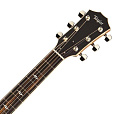 TAYLOR 814ce 800 Series гитара электроакустическая, форма корпуса Grand Auditorium, кейс