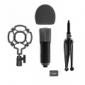 RITMIX RDM-160  студийный конденсаторный микрофон