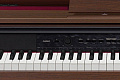 CASIO Celviano AP-460BN, цифровое фортепиано, 88 клавиш, цвет коричневый