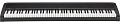 KORG B2N цифровое пианино, облегченная клавиатура, 12 тембров, педаль, адаптер питания в комплекте, цвет черный, полифония 120 голосов