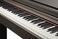 Becker BDP-82R цифровое пианино, цвет палисандр