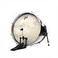 EVANS BD18CT  Пластик 18"