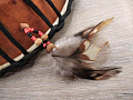 GEWA SHAMAN DRUM Шаманский бубен 22 см