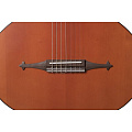 DOFF RGC “Russian Guitar"  русская 7-струнная гитара, модель корпуса образца гитары Орехова С.Д.