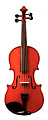 GEWA Violin Outfit Allegro 4/4 скрипка в комплекте (футляр, смычок, канифоль, подбородник)