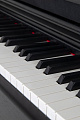 GEWA DP 345 Black Matt фортепиано цифровое, цвет черный матовый