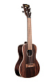 KALA KA-EBY-C Kala Ebony Concert Ukulele укулеле-концерт, цвет натуральный