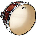 EVANS CS14S  Пластик 14"