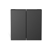 Caymon CP45SM2/B Модуль переключения с двумя мгновенными контактами стандарта 45х45 мм
